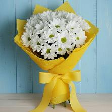 Букет цветов из:  Хризантемы в Ленино Республика Крым