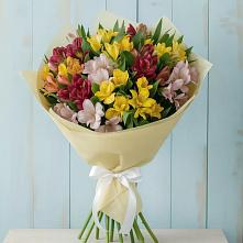 Букет цветов из:  Альстромерии в Ленино Республика Крым